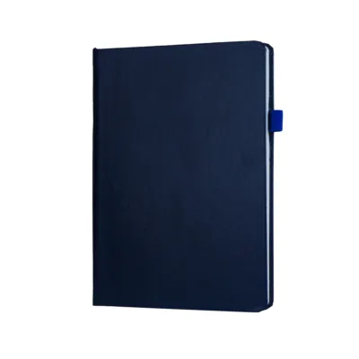 Ajanta Notebook ForU